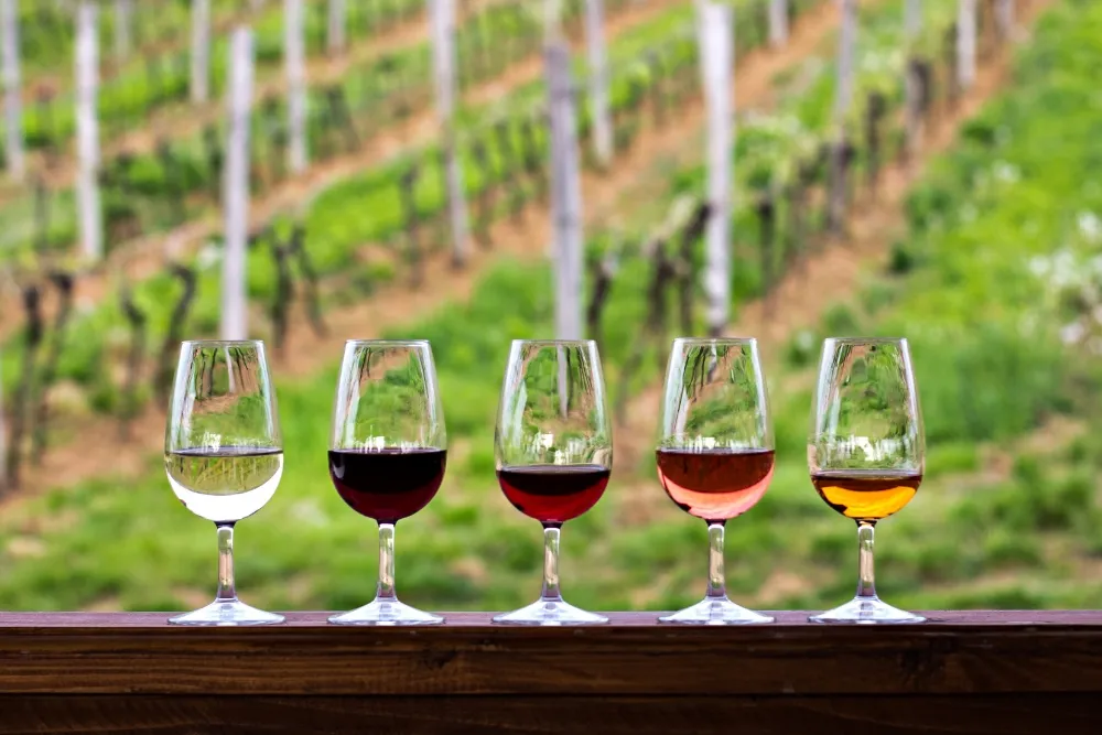 wine glasses with different kinds of wines