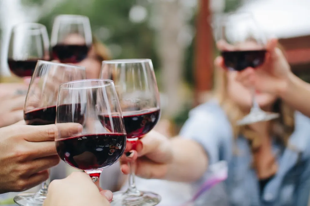 about tastes of the hunter wine tours