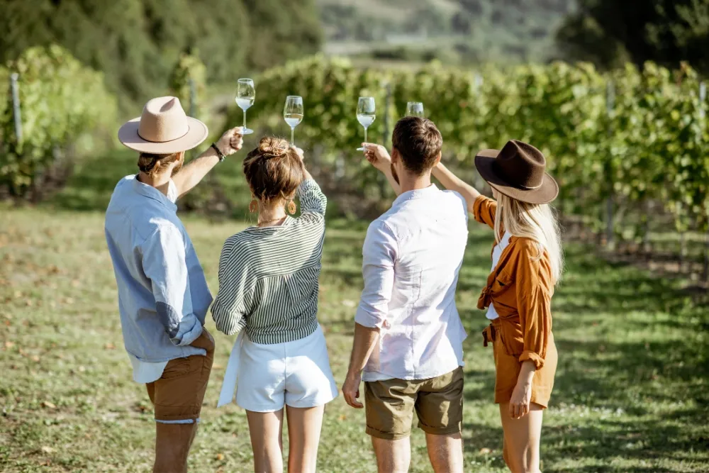 accessible tours and transport in hunter valley