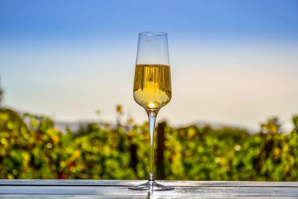 glass of white wine