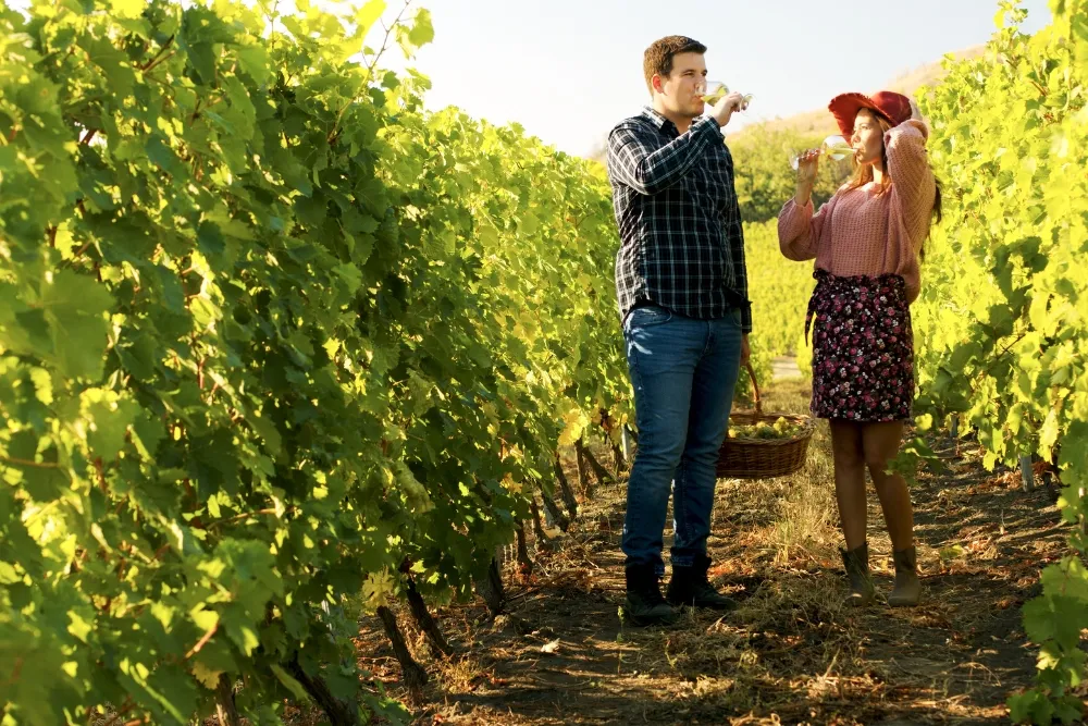 couple walking in a vineyard with glasses of wine