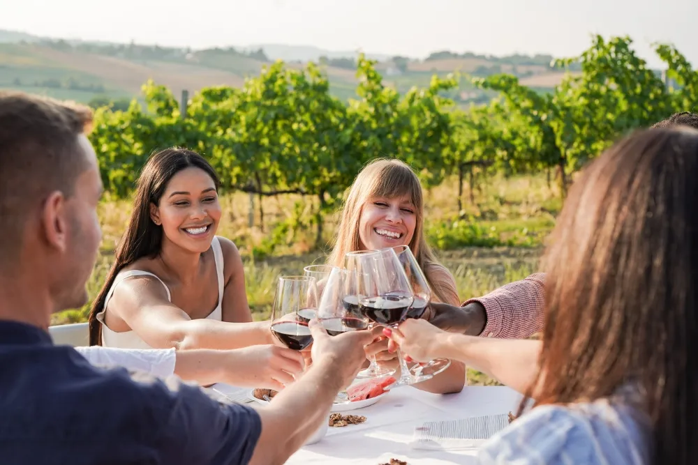 different types of vip wine tours