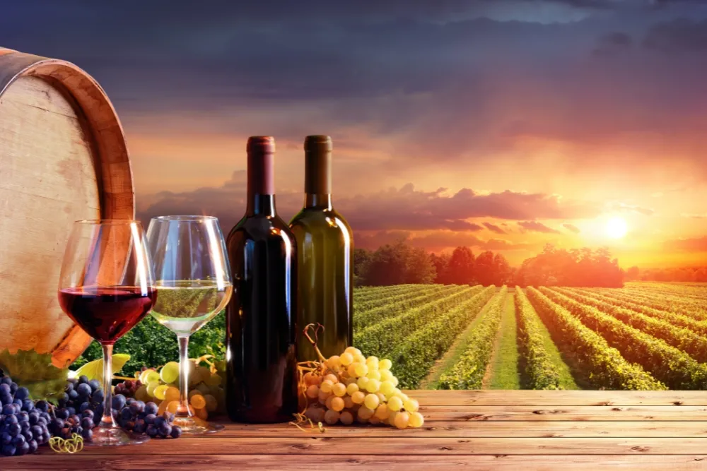 Bottles, glasses of wine and grapes with the vineyard background