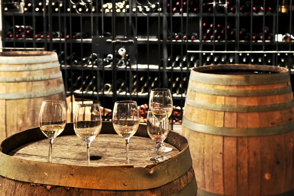 hunter valley wine tours for wine enthusiasts