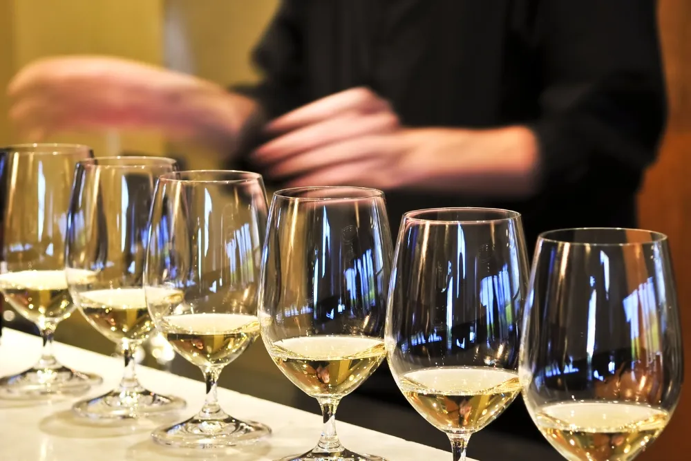 ideal seasons for a wine adventure in hunter valley