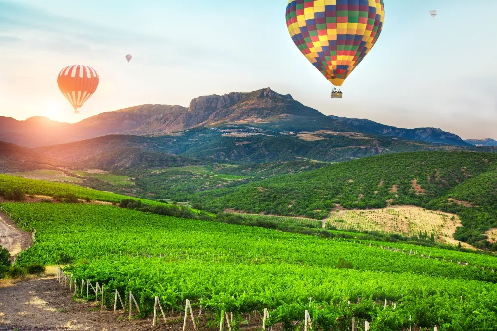 other activities in hunter valley