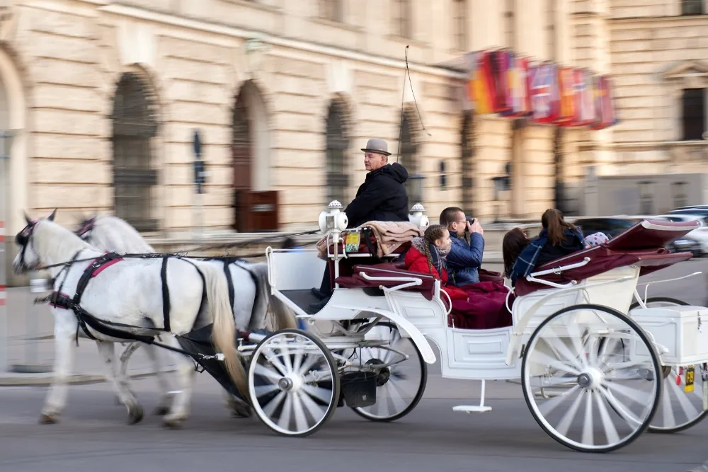 other exciting activities beyond wine tasting