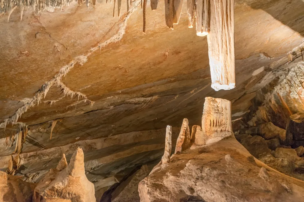 other hunter valley excursions