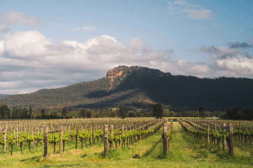 other things to explore in hunter valley