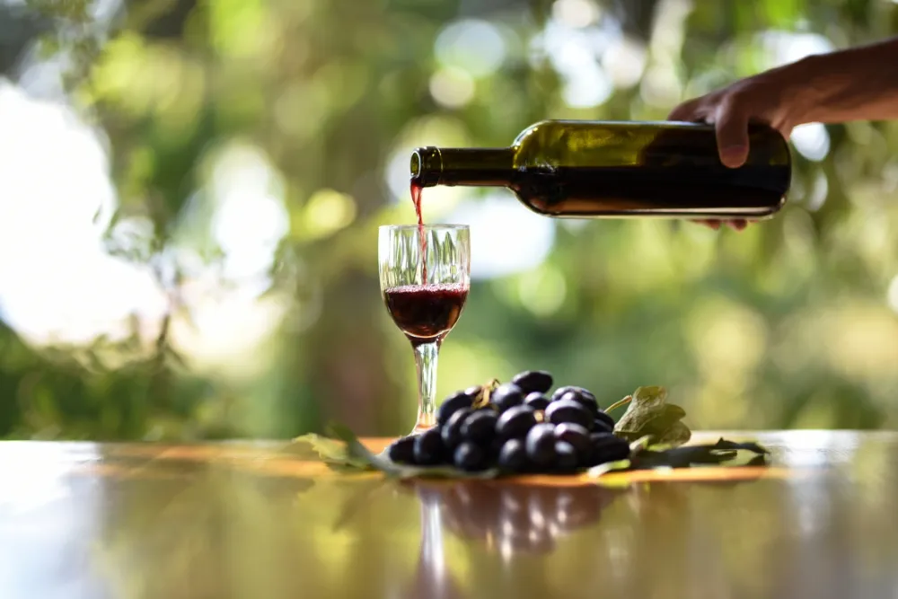 other wine regions in nsw to explore for organic and biodynamic wines