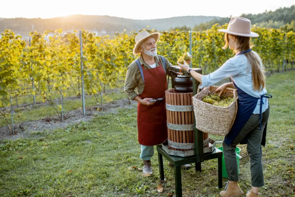 the evolution of winemaking in hunter valley