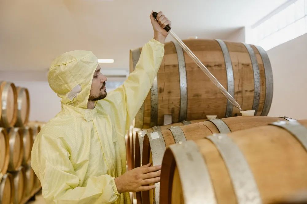 the future of winemaking in hunter valley