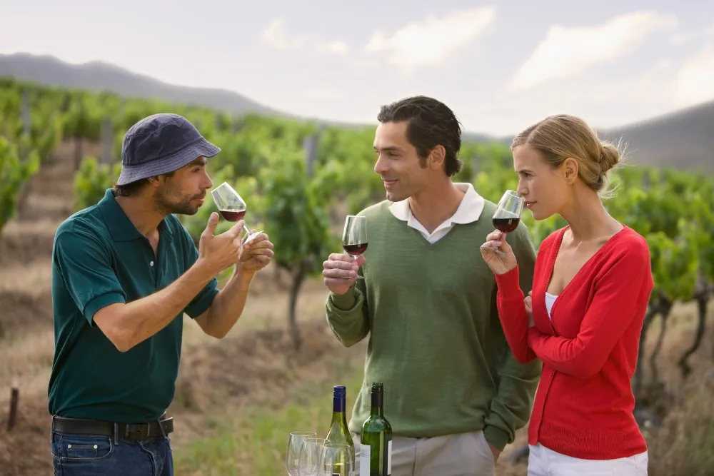 tips for planning your vip wine tour in pokolbin