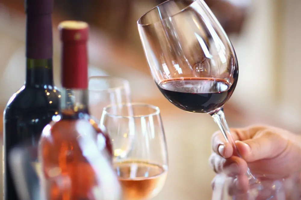 top wineries and experiences to explore