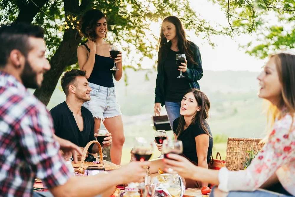 Group of friends in a picnic having wine