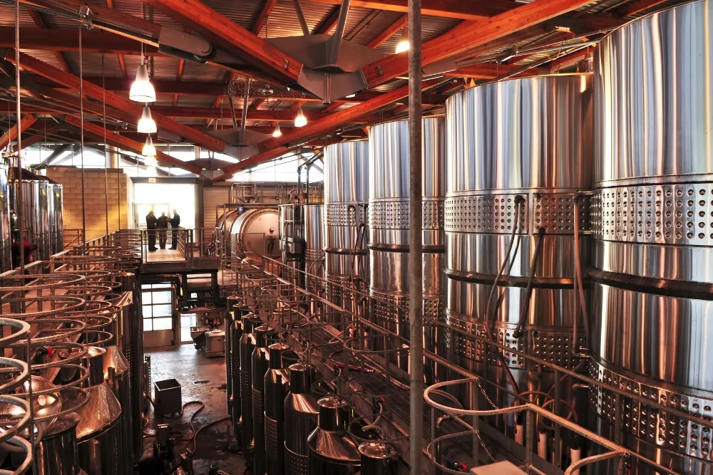 vineyard and cellar door experiences