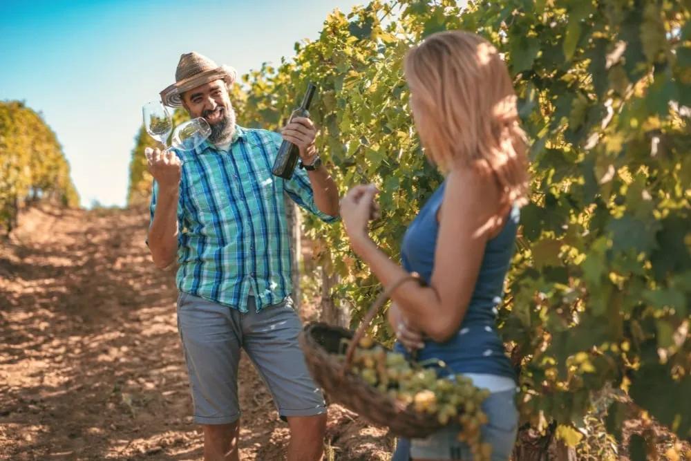 what is terroir and why is it important in winemaking