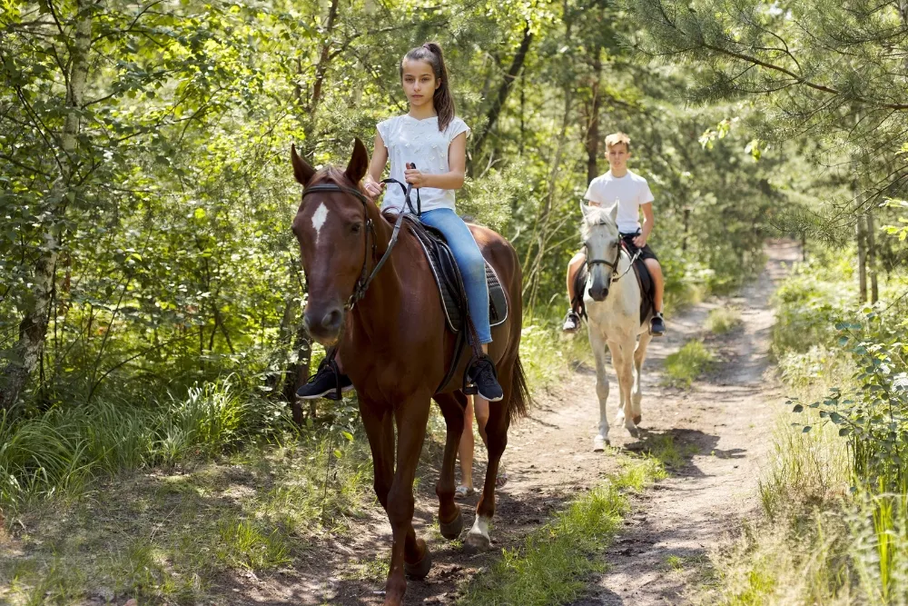 what is wine tasting on horseback