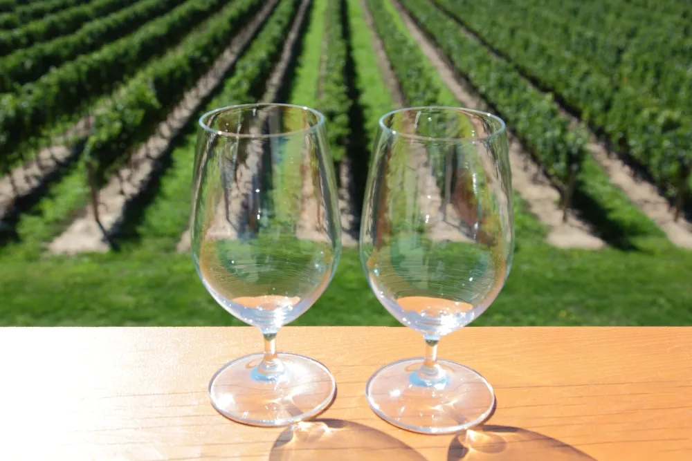 why choose a wine tour in hunter valley