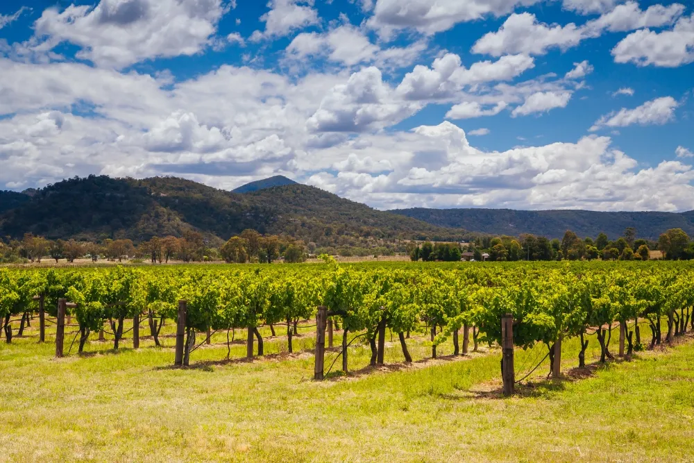 why everyone should visit hunter valley